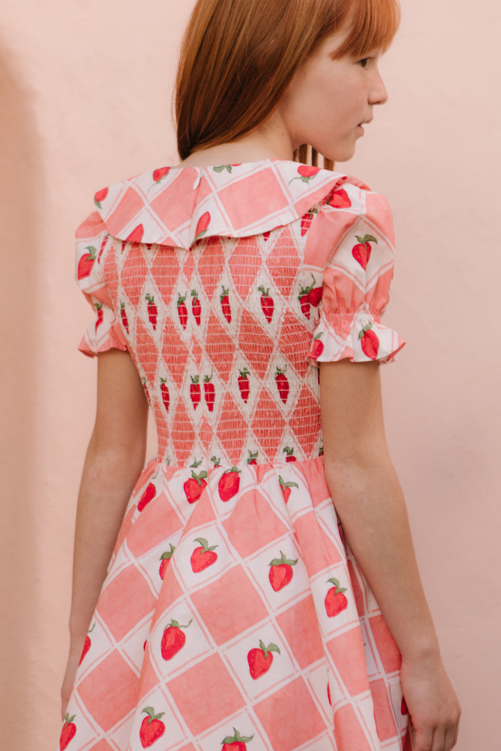 Mini Alice Dress in Strawberry