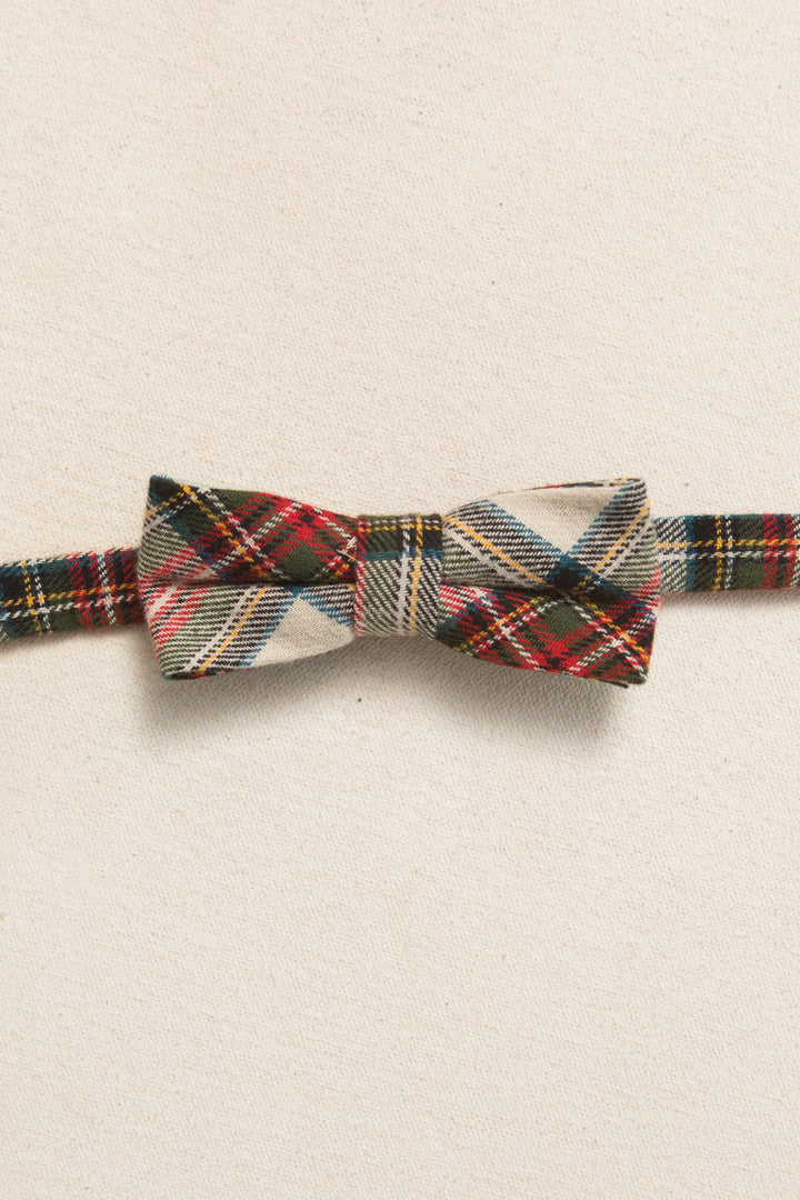 Ties in Merry Holiday Plaid - FINAL SALE