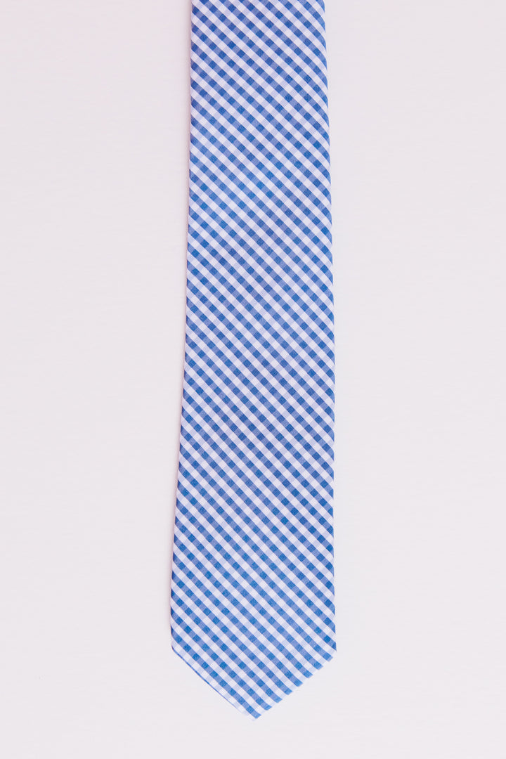 Mens Max Tie in Indie Blue Gingham - FINAL SALE