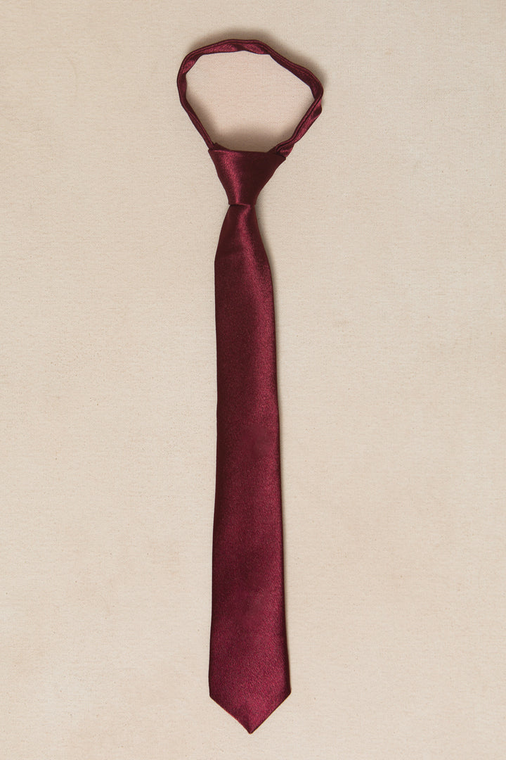 Boys Max Tie in Wine Satin