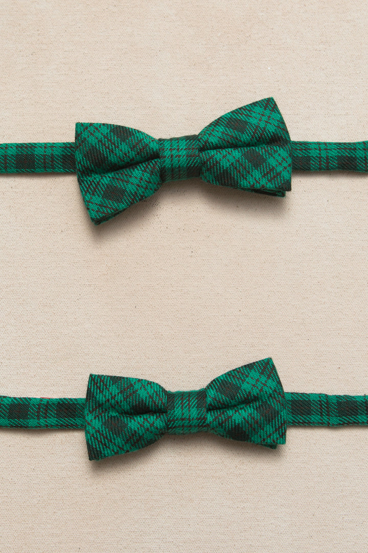 Ties in Cupcake Bright Green Plaid - FINAL SALE