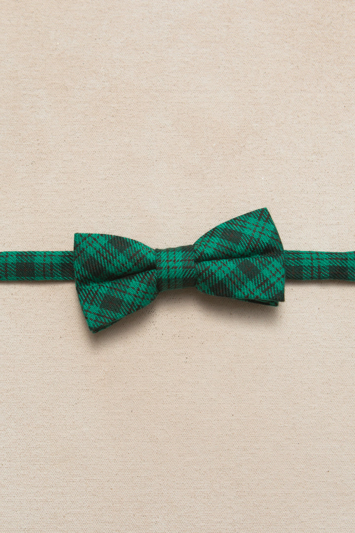 Ties in Cupcake Bright Green Plaid - FINAL SALE