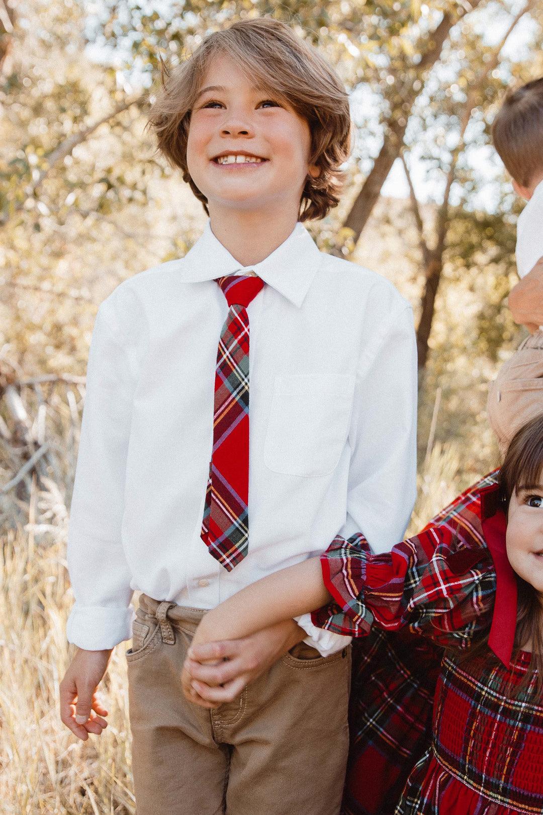 Ties in Madeline Holiday Plaid