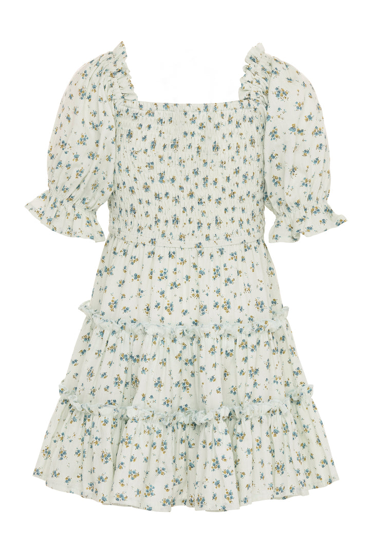 Mini Madeline Dress in Blue