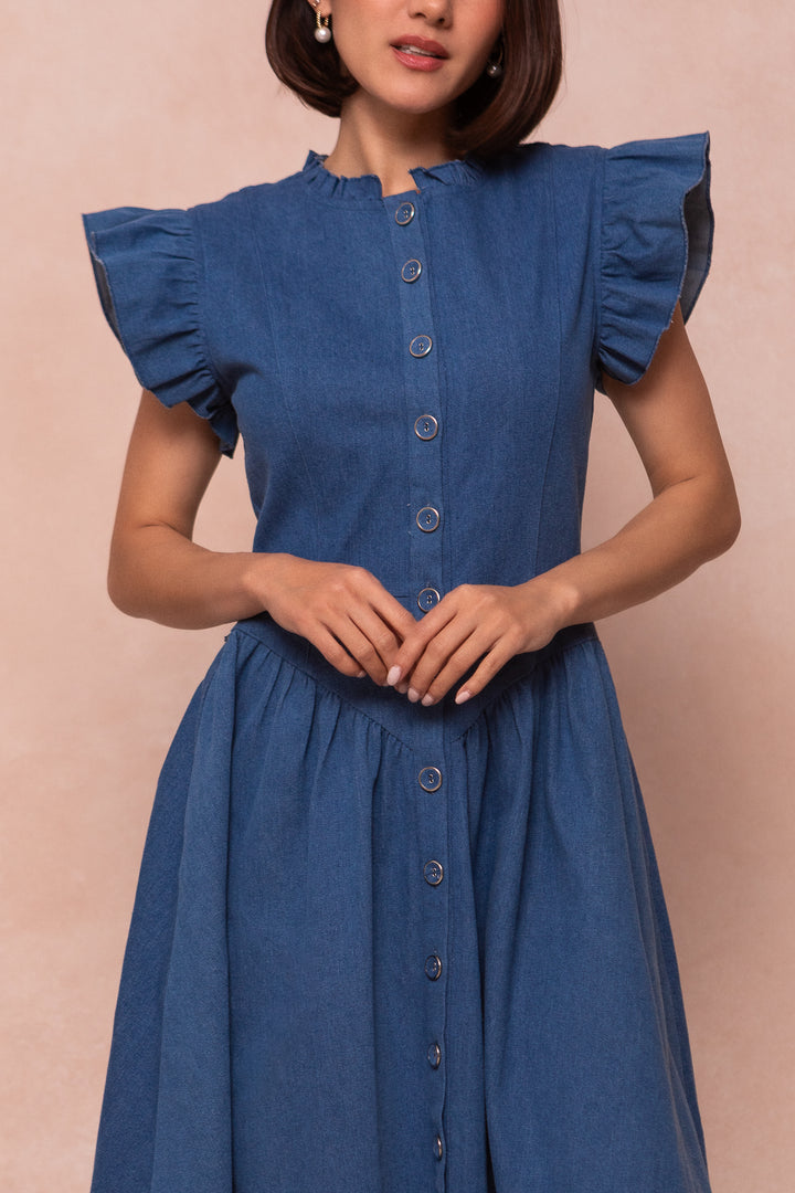 Nelly Dress in Denim