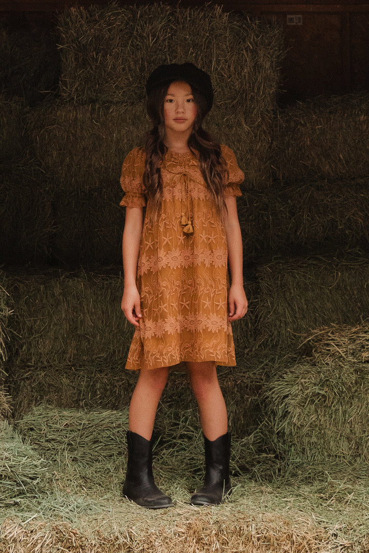 Mini Honey Dress in Brown Lace - FINAL SALE